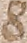 Source crop: 42v · yale-1006157-CS00438