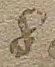 Source crop: f001r · yale-1006076-CS01262