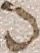 Source crop: 53v · yale-1006179-CS00742