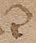 Source crop: f001r · yale-1006076-CS00365