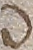 Source crop: 45r · yale-1006162-CS00608