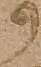 Source crop: 1r · yale-1006076-CS00329