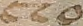 Source crop: 1r · yale-1006076-CS00731