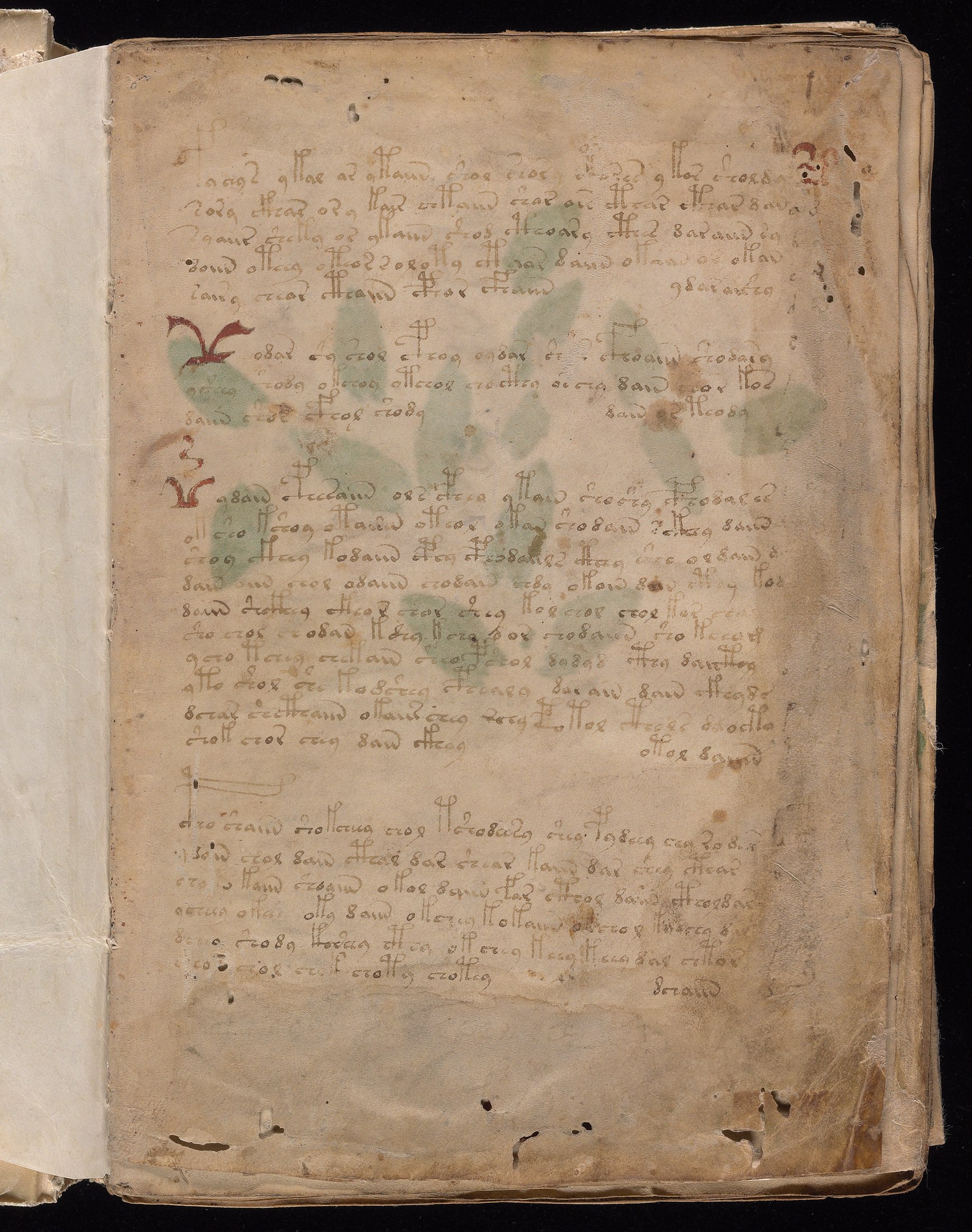 Yale manuscript view f001r