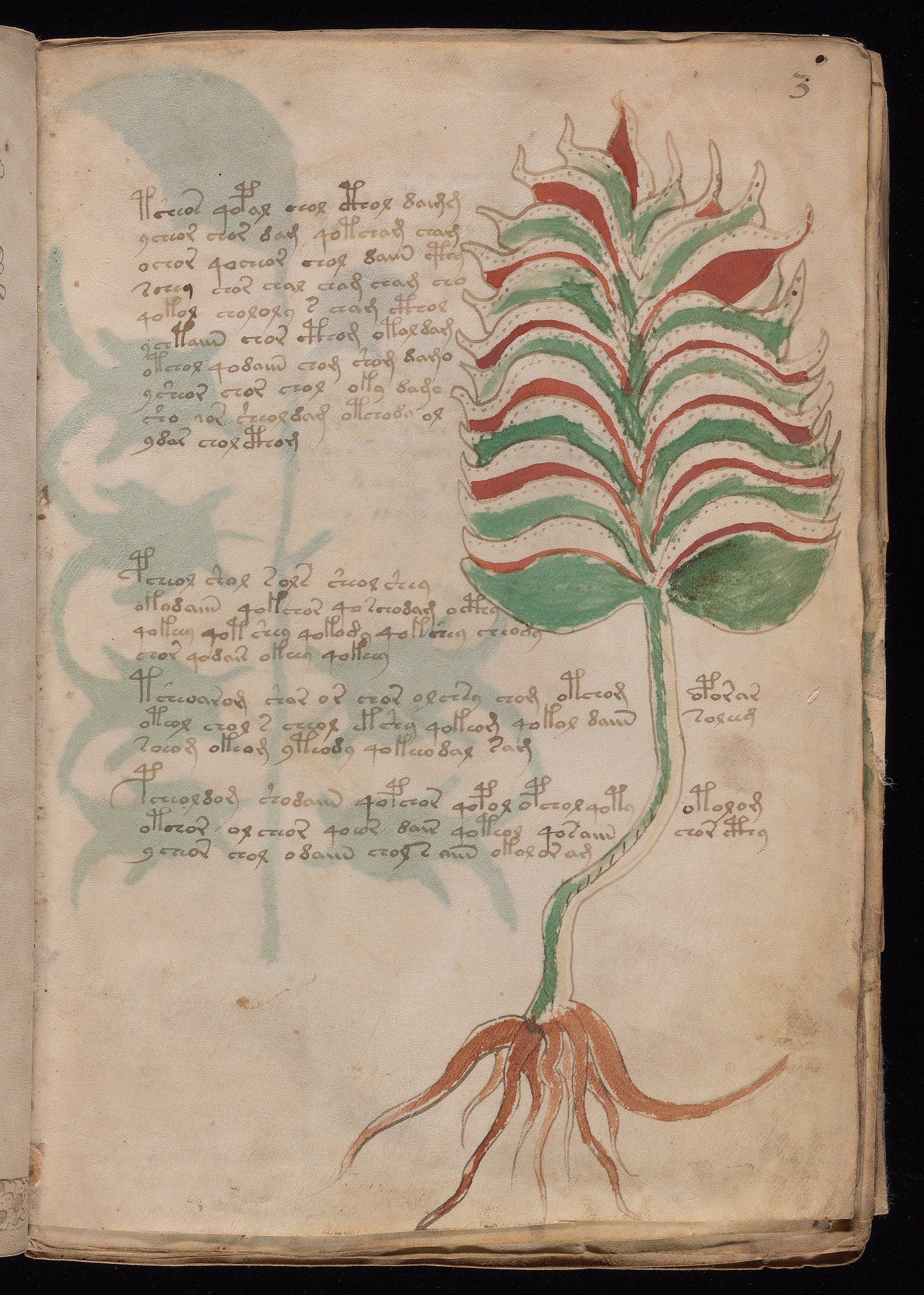 Yale manuscript view f003r