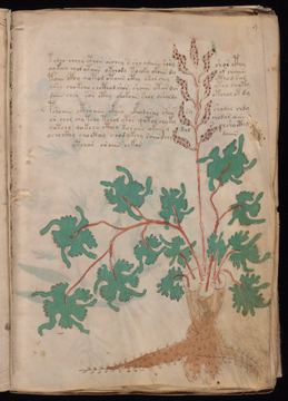 f009r