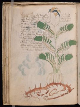 f022v