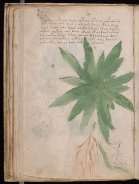 f025v