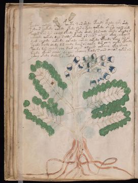 f026v