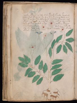 f027v