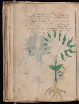 f028v