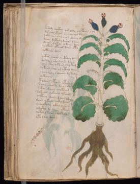 f037v