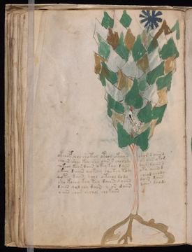 f038v