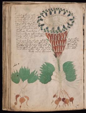 f040v