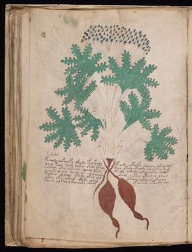 f041v