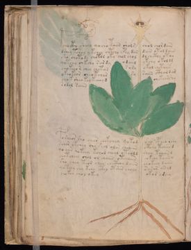 f042v