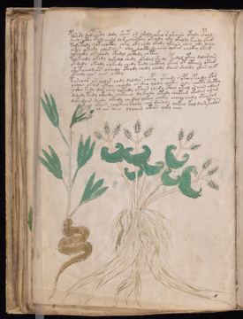 f043v