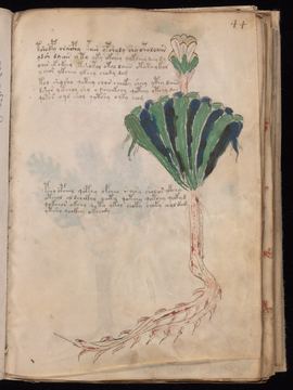 f044r