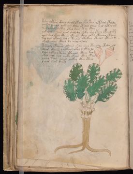 f044v