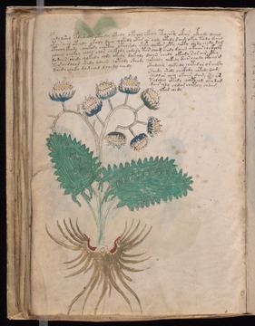 f046v