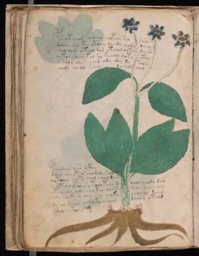 f047v