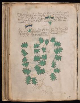 f048v