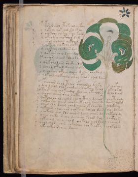 f049v