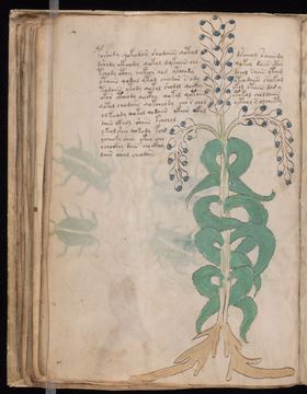 f051v