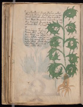 f052v