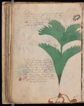 f056v