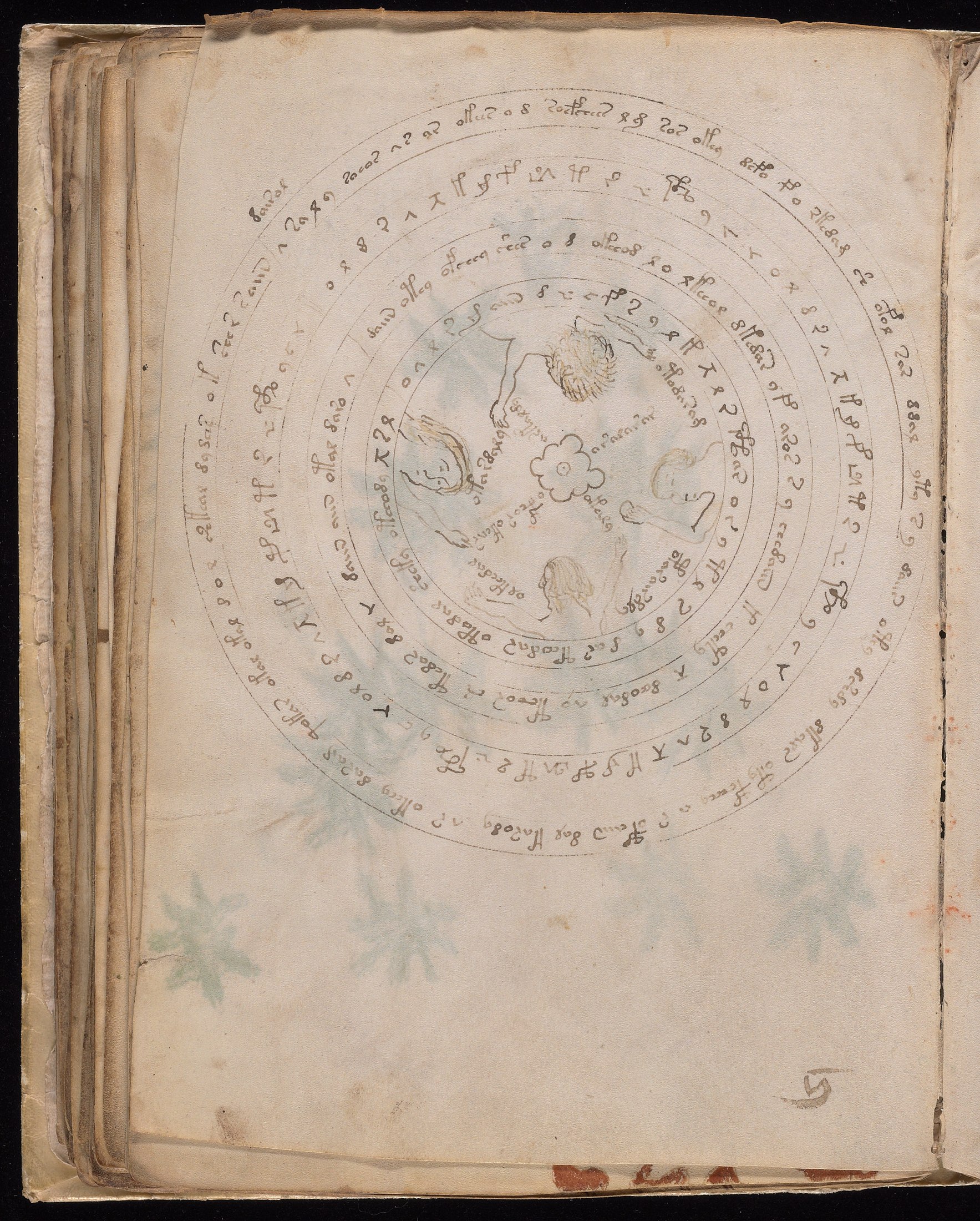 Yale manuscript view f057v