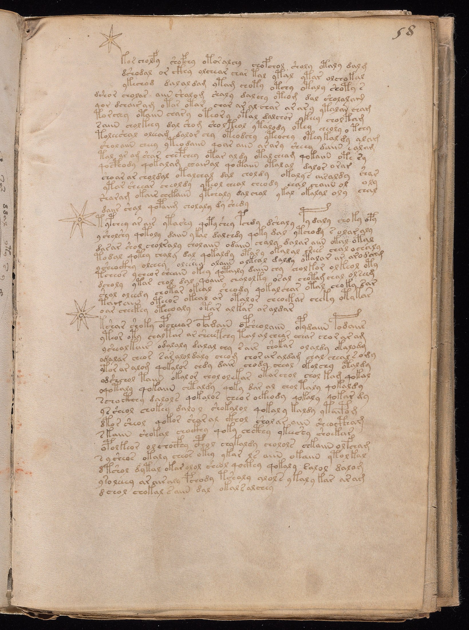 Yale manuscript view f058r