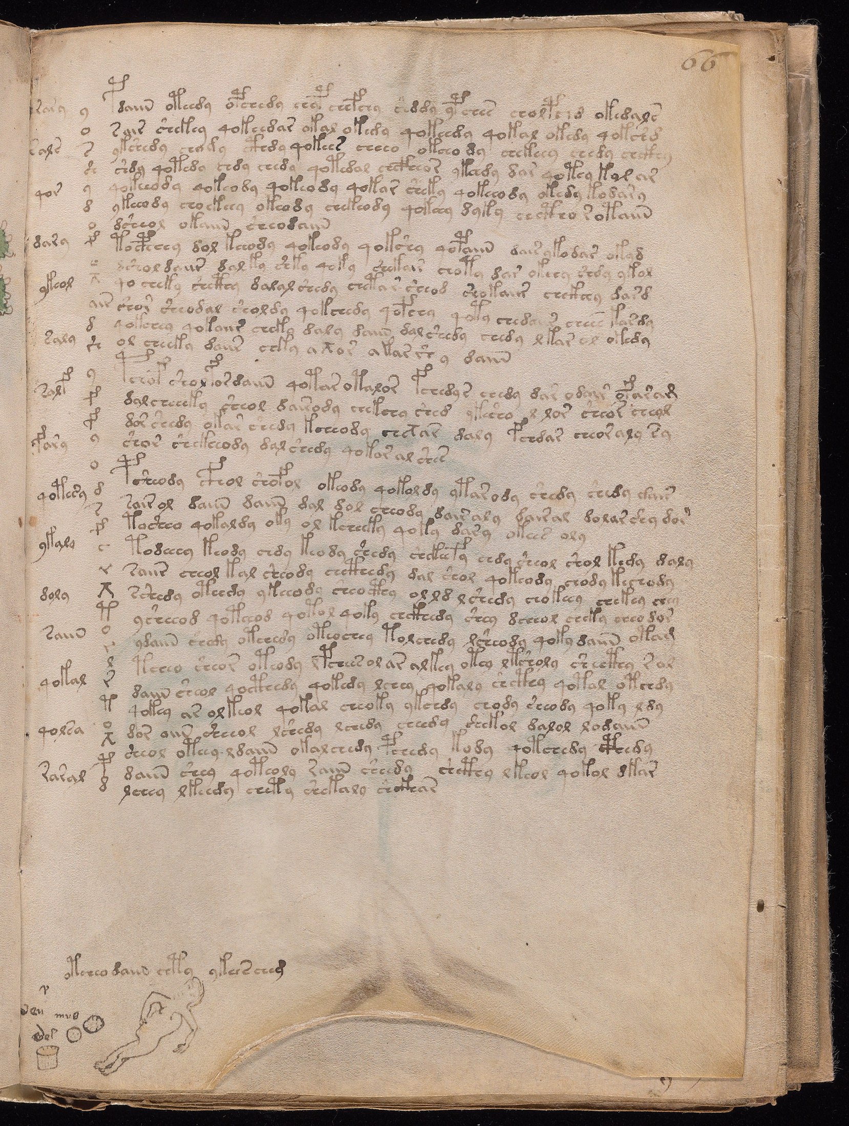 Yale manuscript view f066r