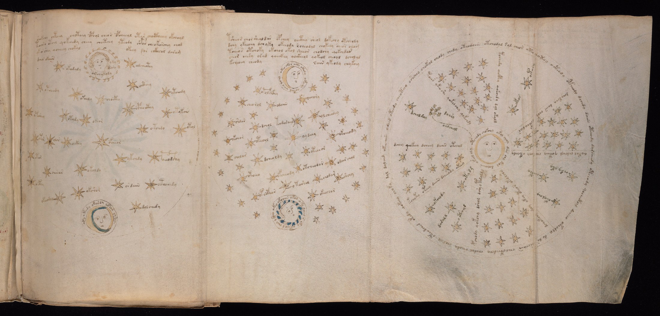 Yale manuscript view f068r
