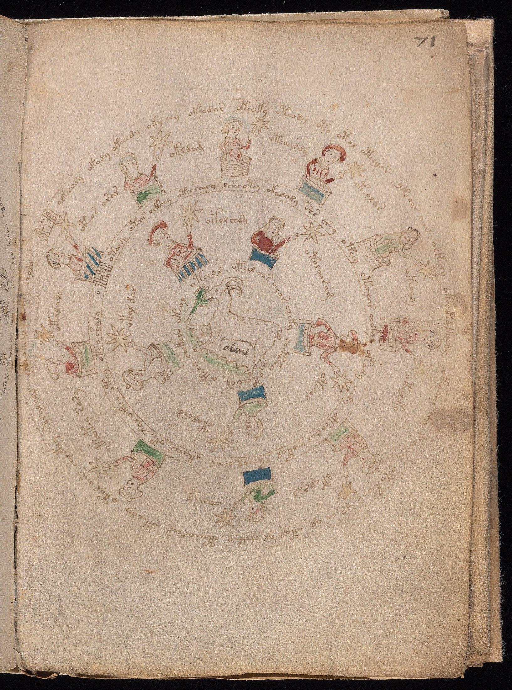Yale manuscript view f071r