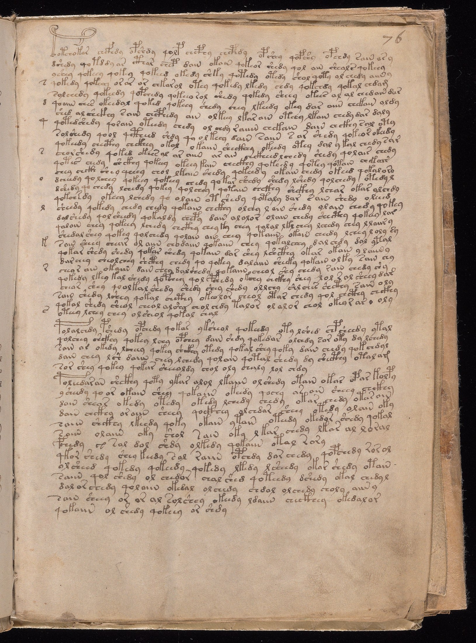 Yale manuscript view f076r