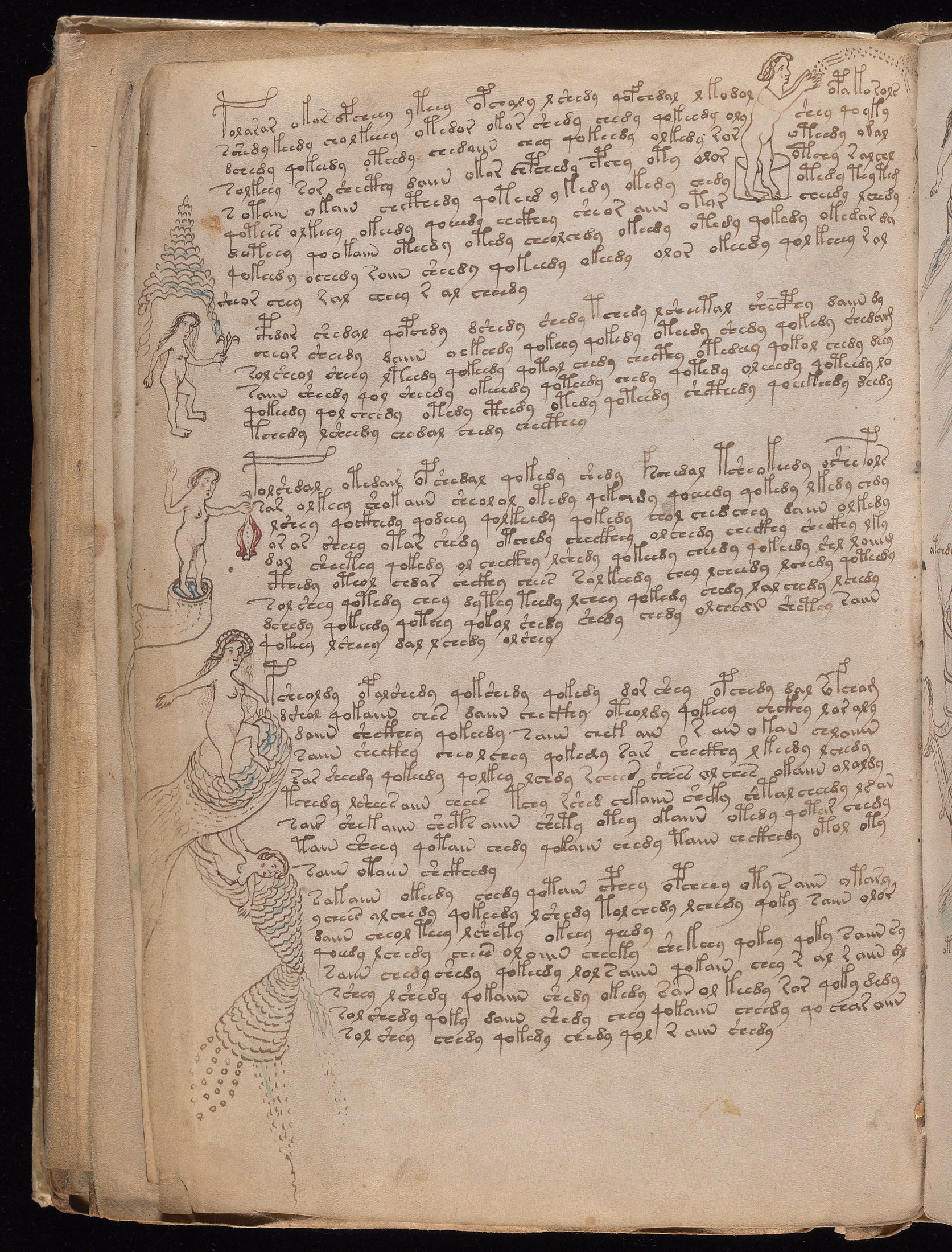 Yale manuscript view f076v