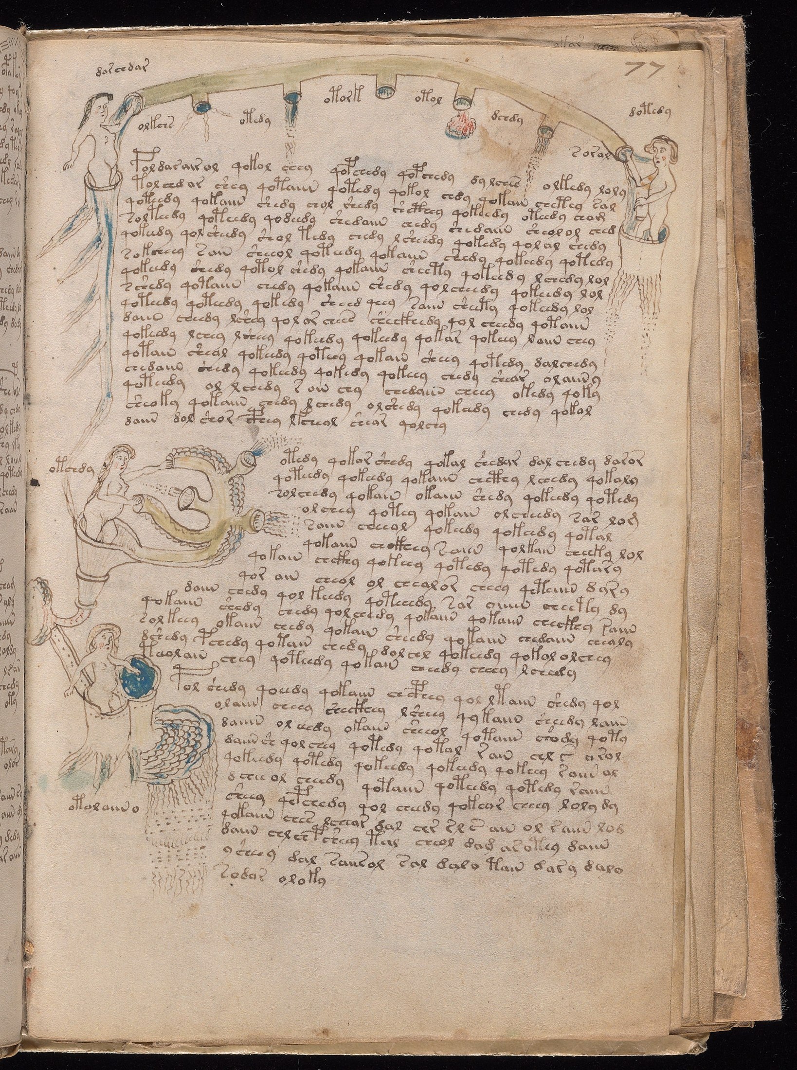 Yale manuscript view f077r