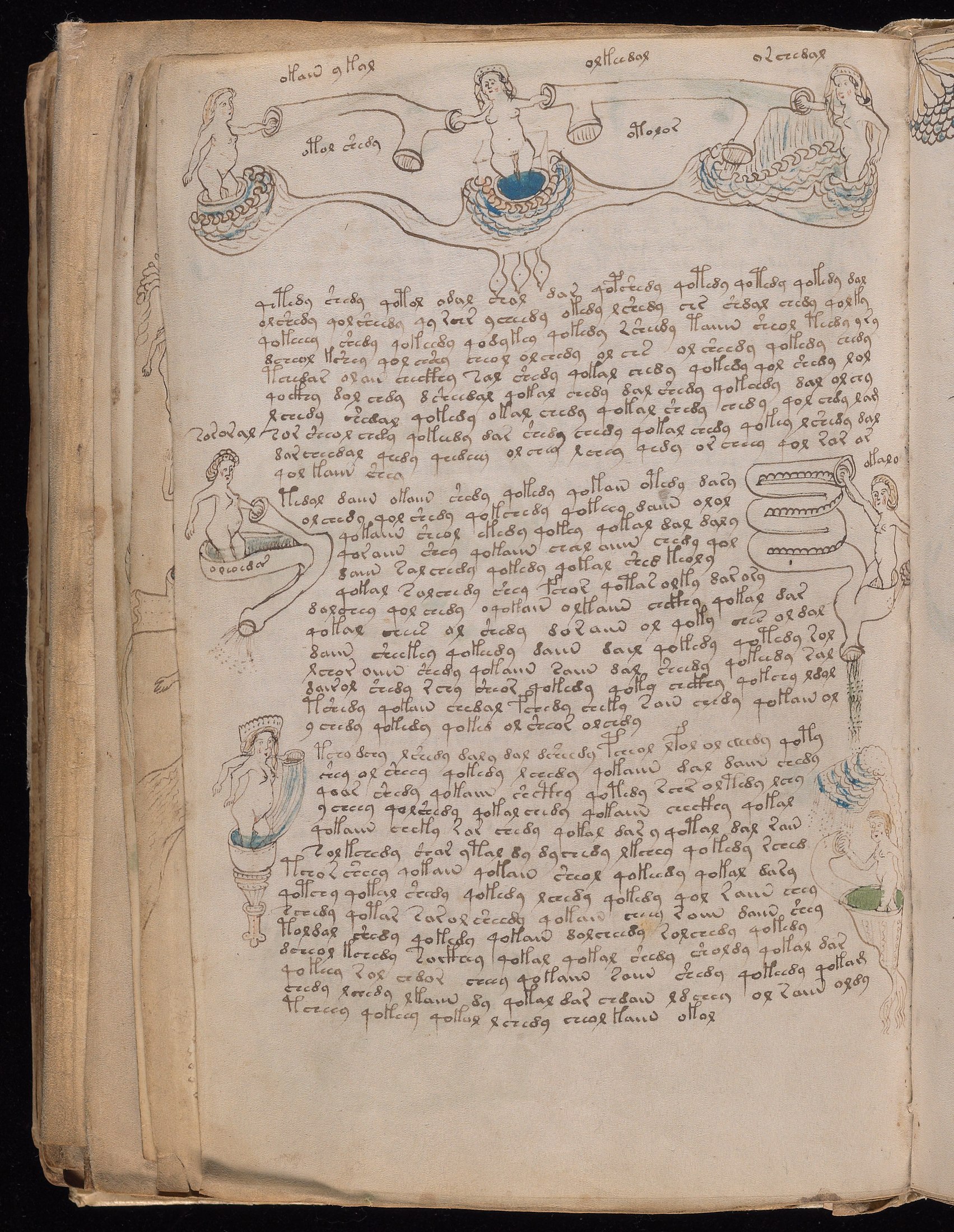 Yale manuscript view f077v