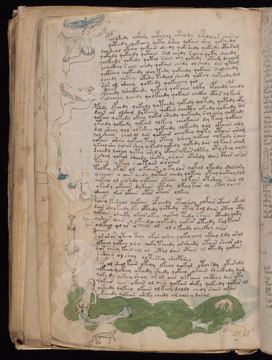 f079v