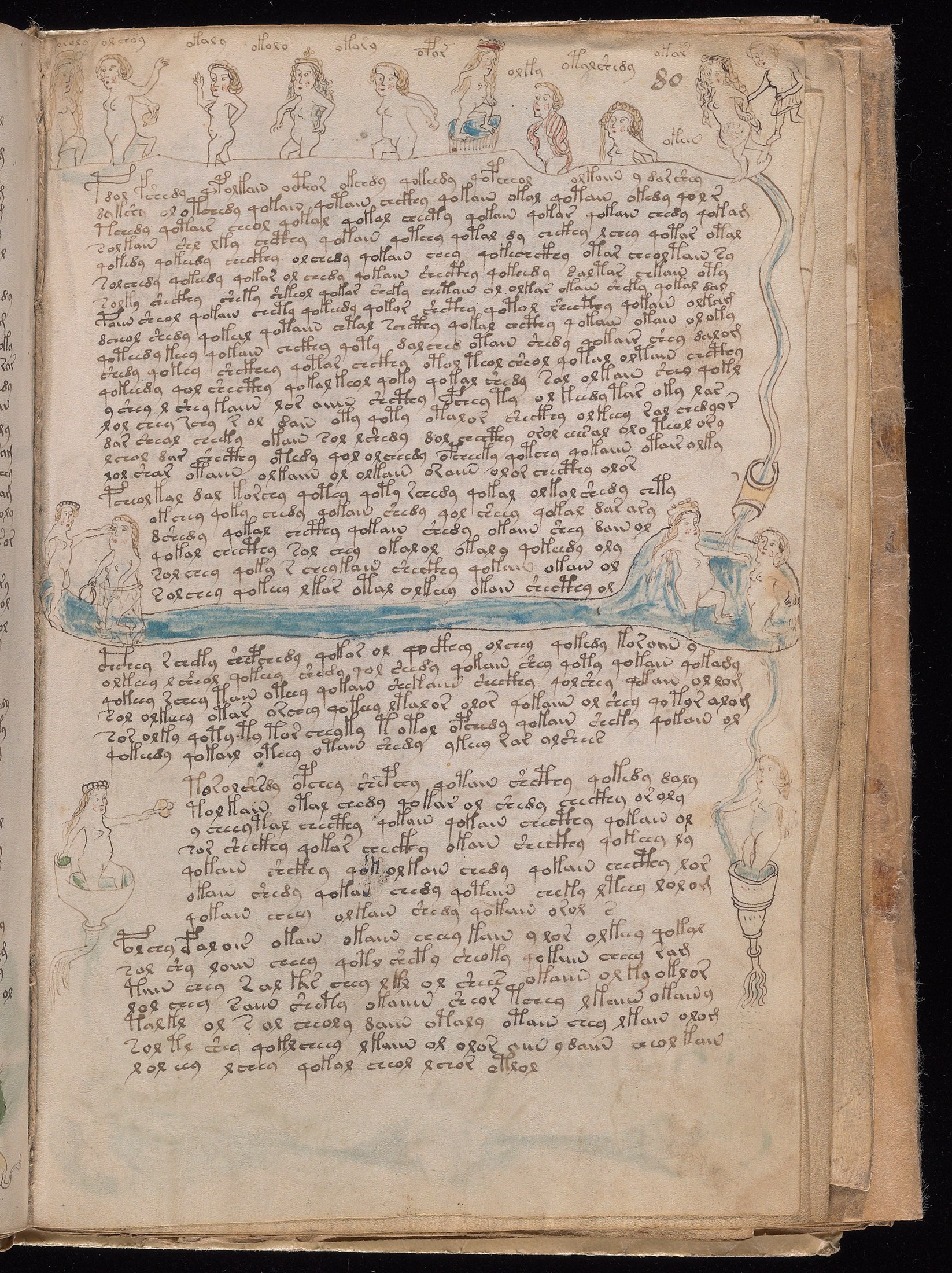 Yale manuscript view f080r