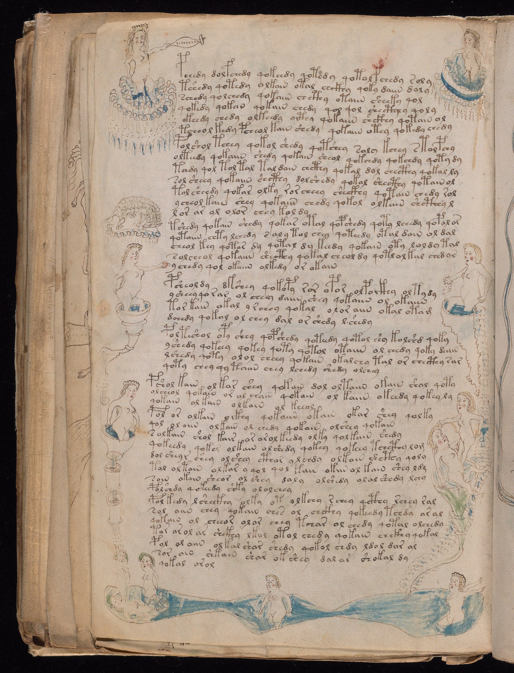 Yale manuscript view f080v