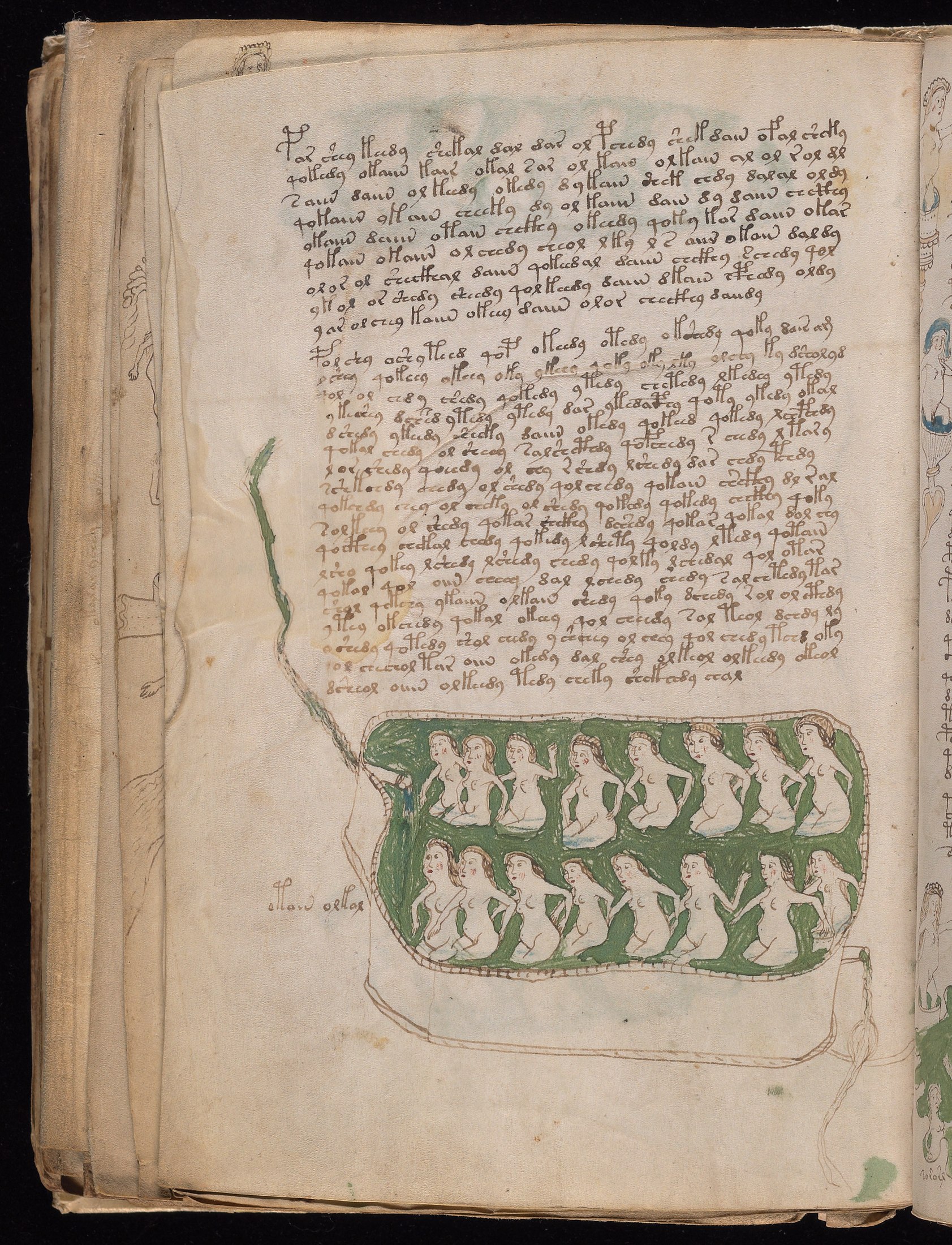 Yale manuscript view f081v