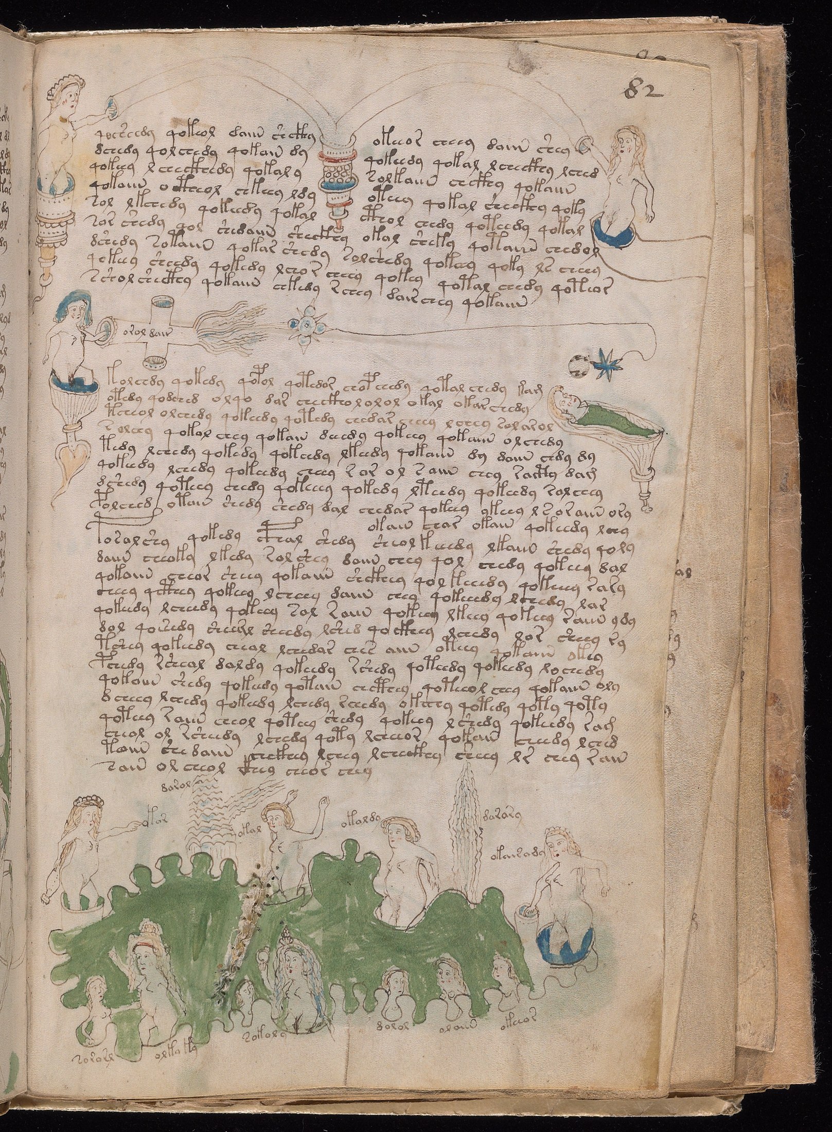 Yale manuscript view f082r