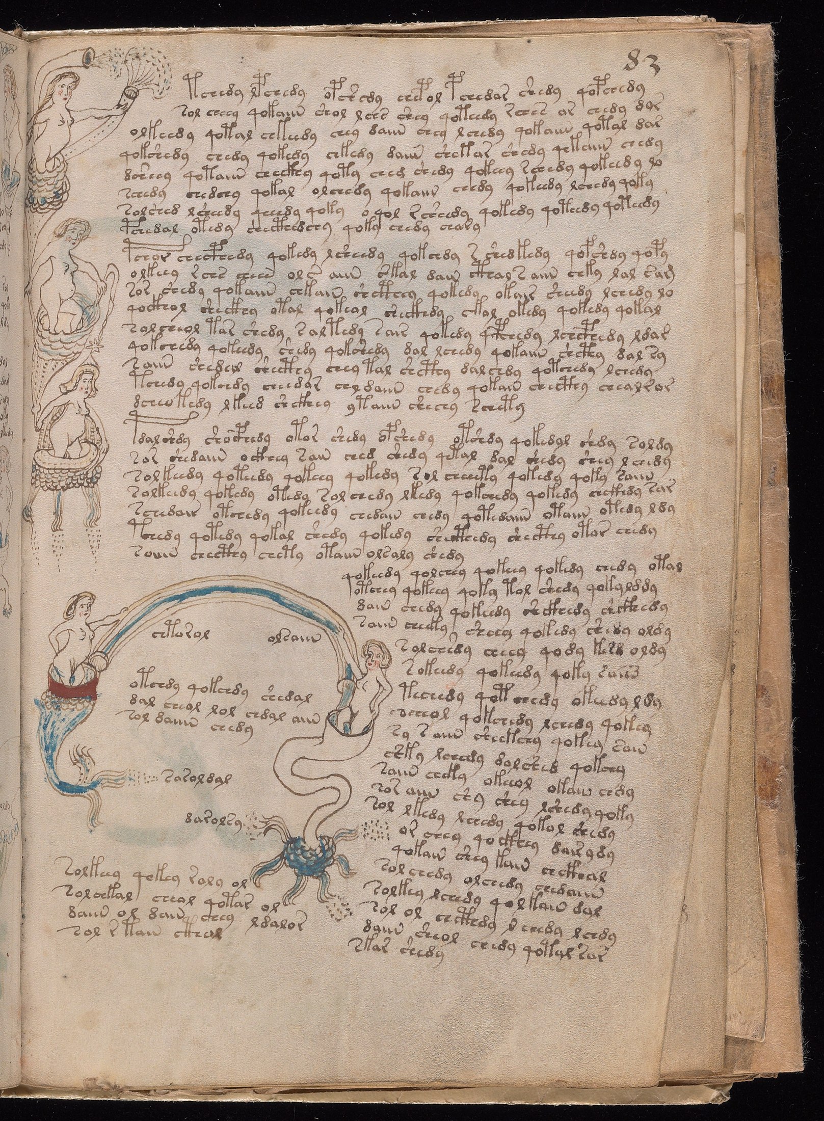 Yale manuscript view f083r