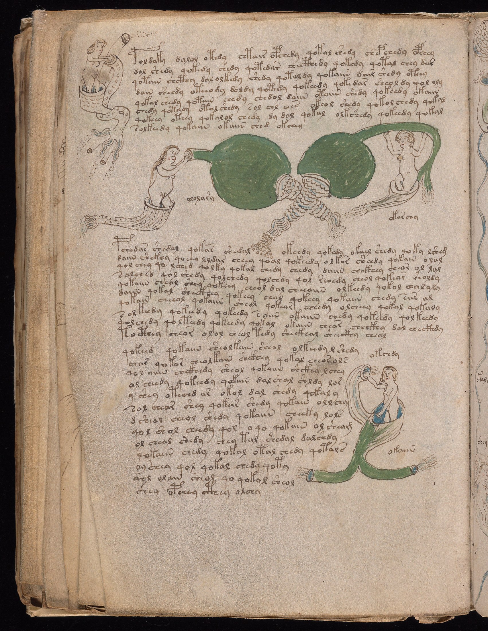 Yale manuscript view f083v