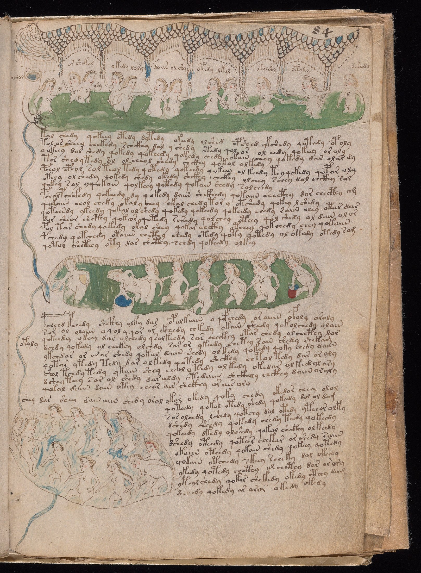Yale manuscript view f084r