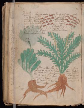 f087v
