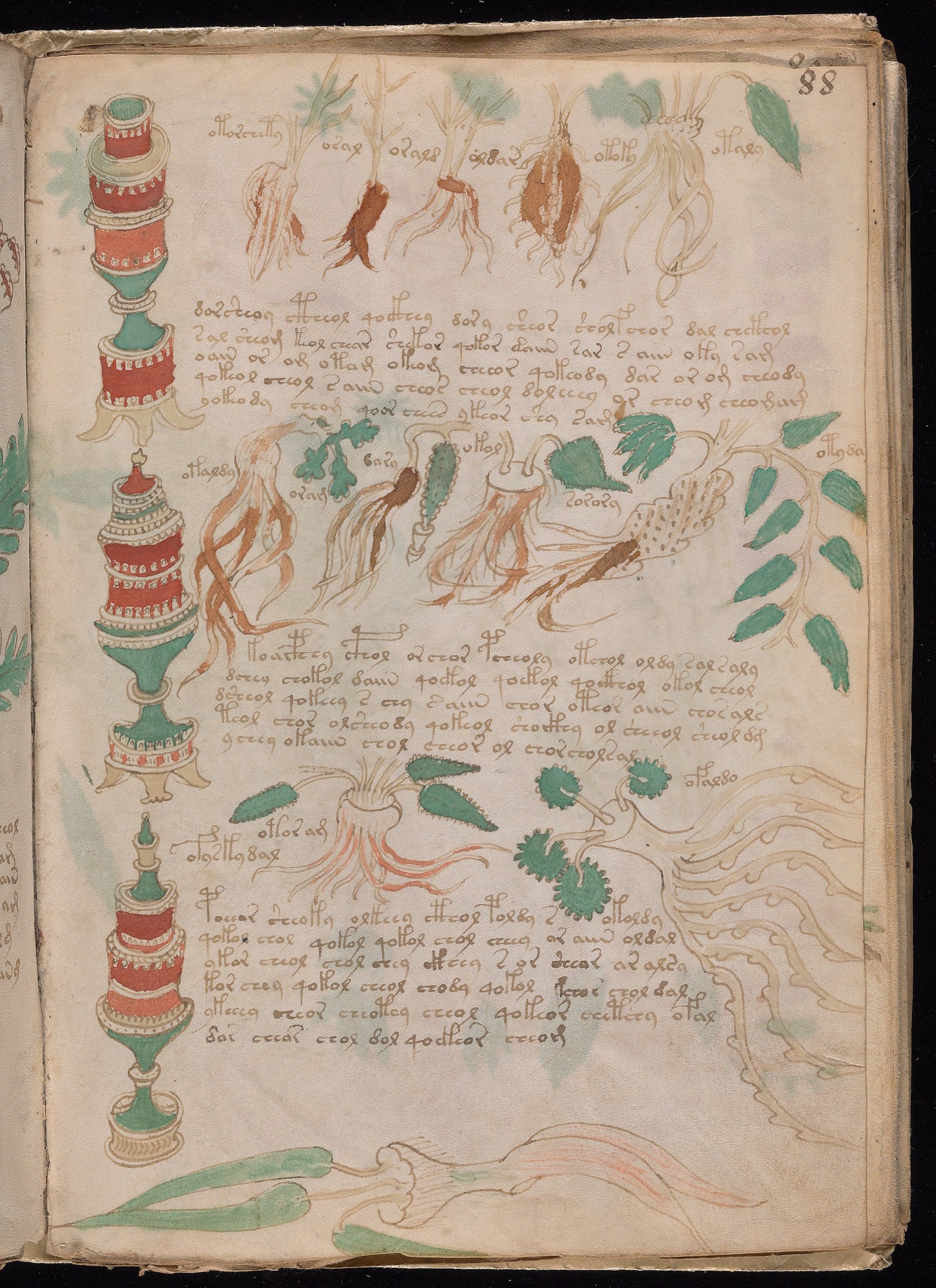 Yale manuscript view f088r