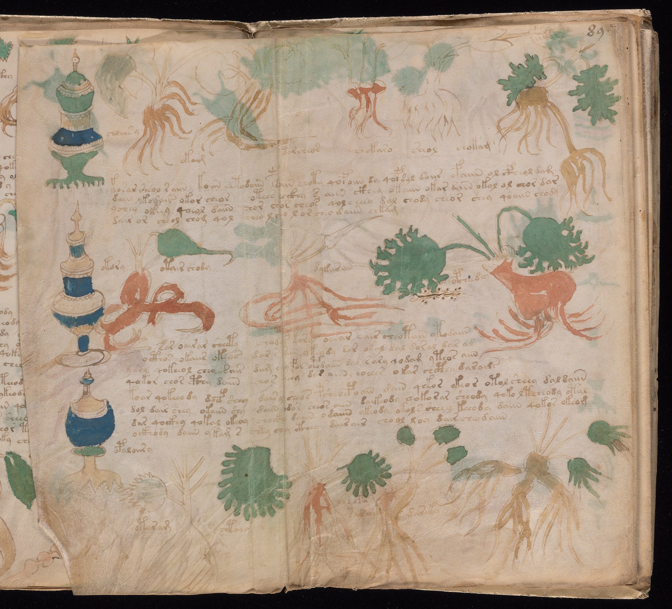 Yale manuscript view 89v (part)